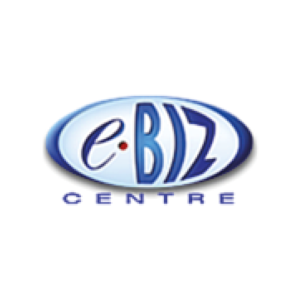 APA-AIR-EBIZ-LOGO-DEF